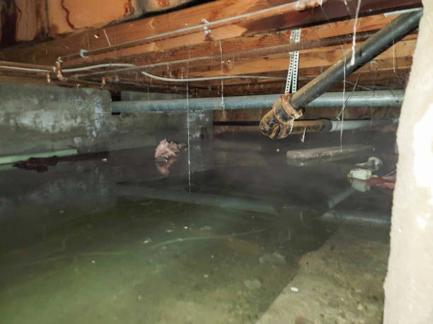 Local water damage restoration in Trabuco Canyon, CA