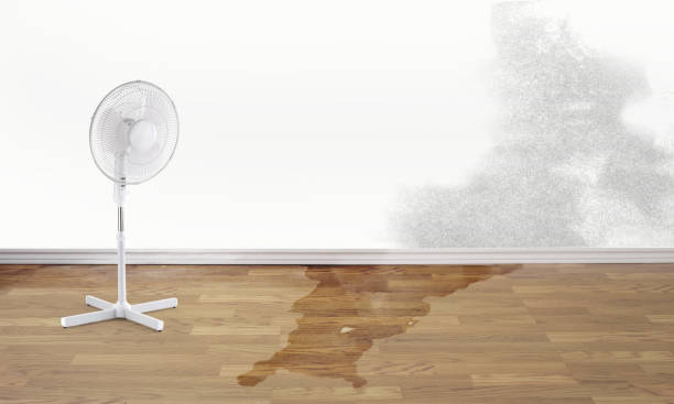 Best Local water damage restoration  in Trabuco Nyon, CA