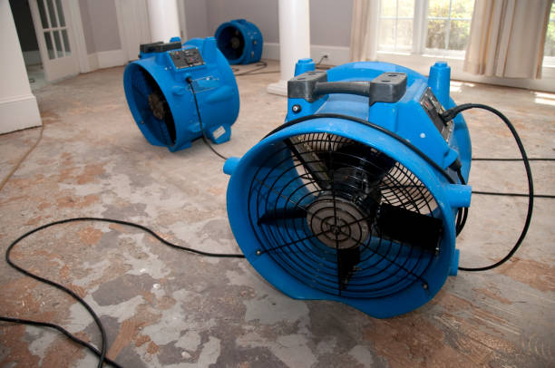  Trabuco Nyon, CA Water damage restoration Pros