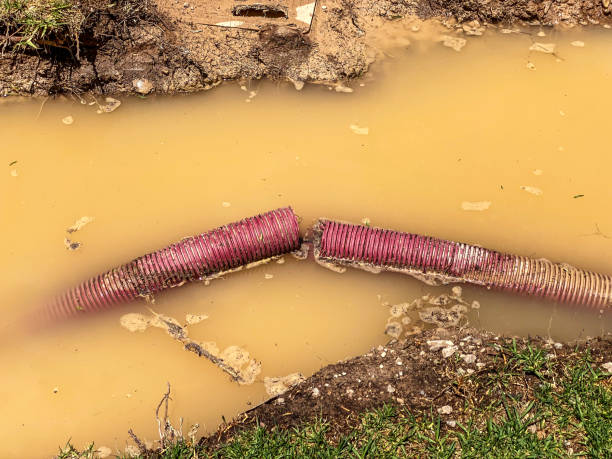 Trusted Trabuco Canyon, CA Water damage restoration Experts
